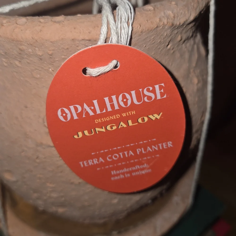 Opalhouse designed with Jungalow - Terracotta Planter Brown Clay